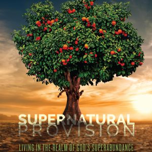 Supernatural Provision - Living in the Realm of God's Super Abundance-0
