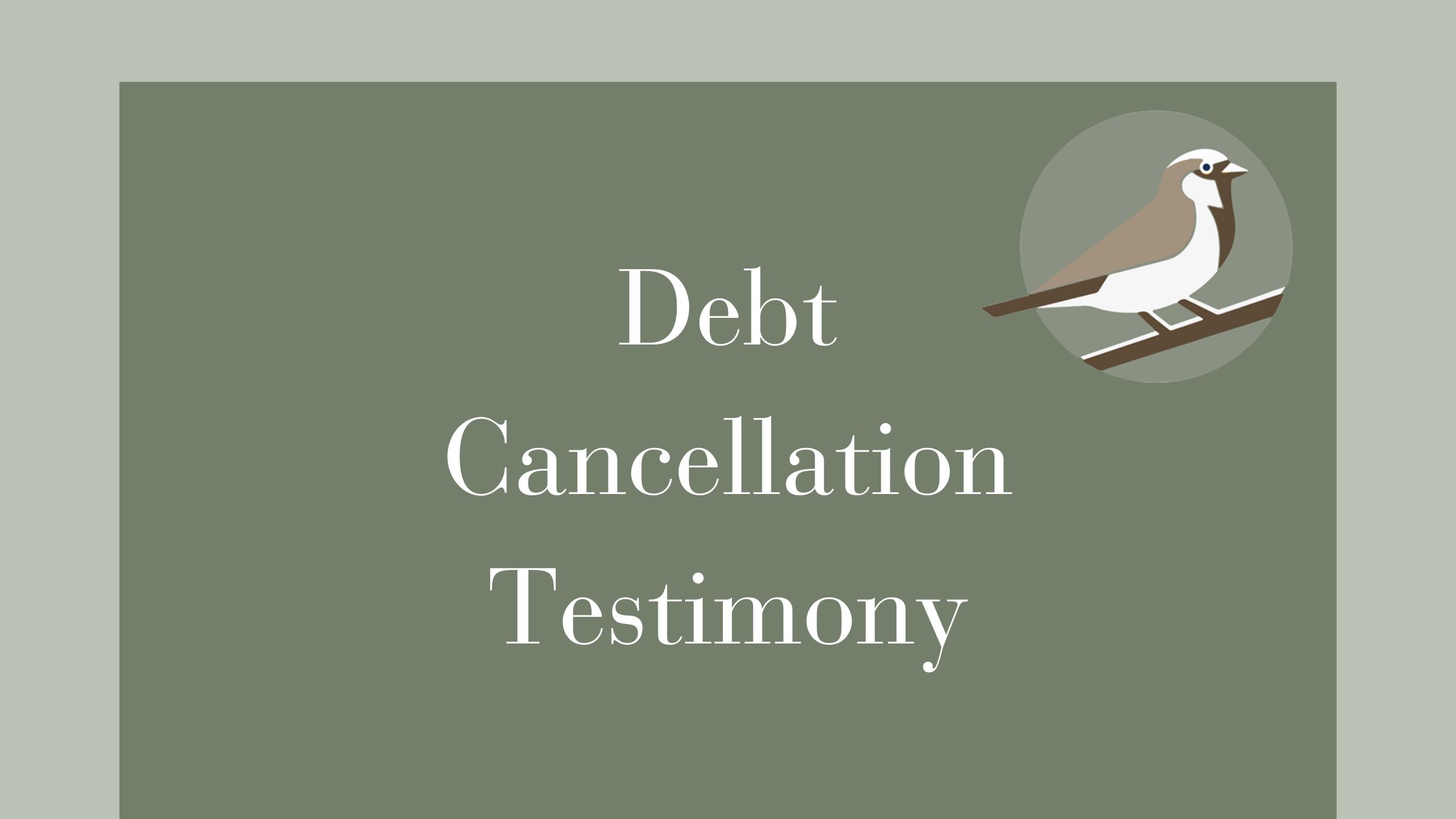 Debt Cancellation Testimony