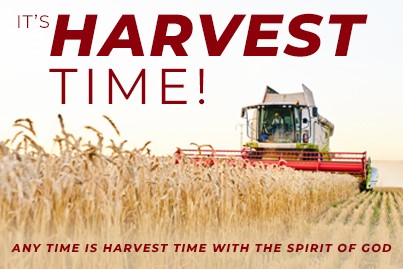 Learn Section Harvest Graphic KCM Europe Email Course
