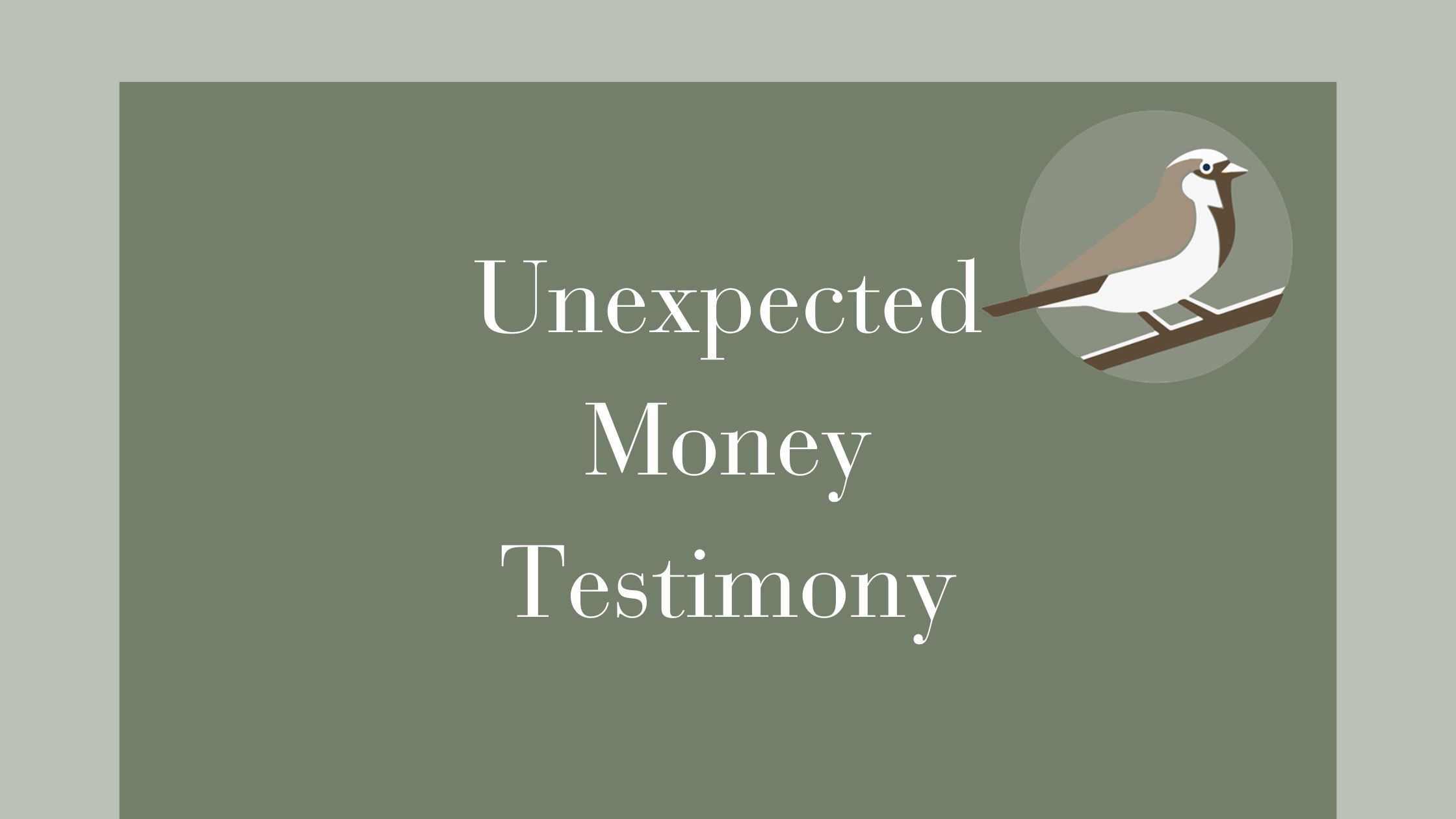 Unexpected Money Testimony (1)