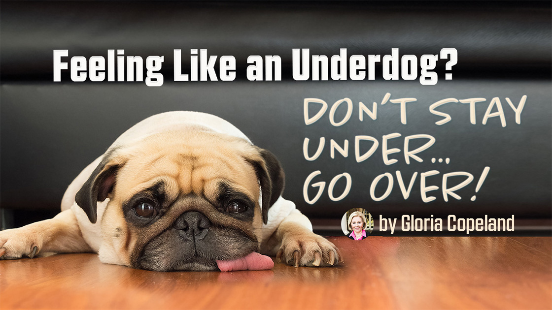 Feeling Like an Underdog - Blog Banner
